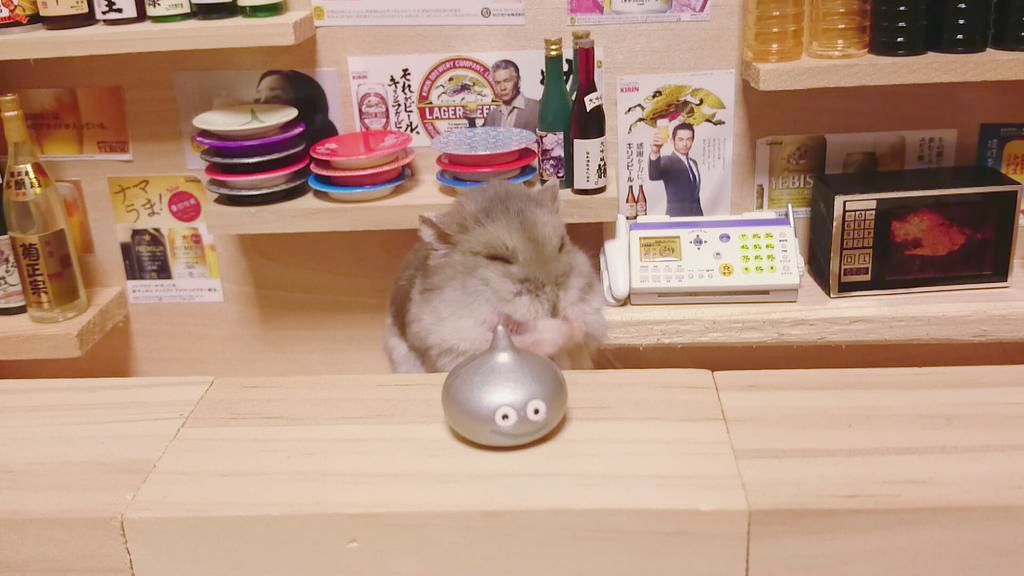 Hamsters Camareros Que Te Atenderán Gustosos En Sus Pequeños Bares