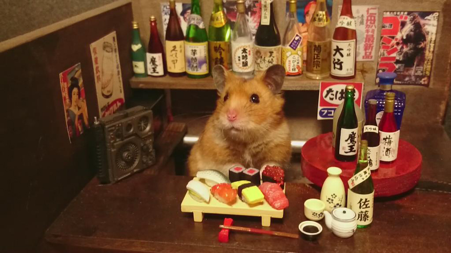bar-diminuto-hamsters-3