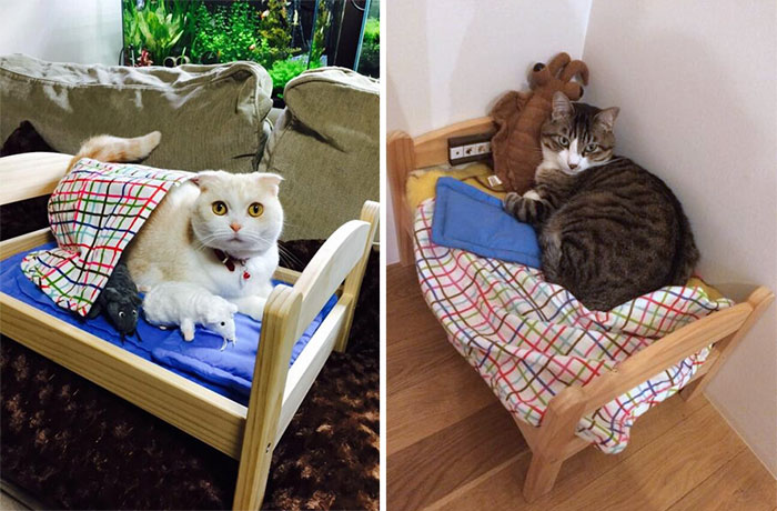 Cómo Transformar Una Cama De Muñecas De IKEA En Una Adorable Cama Para Gatos