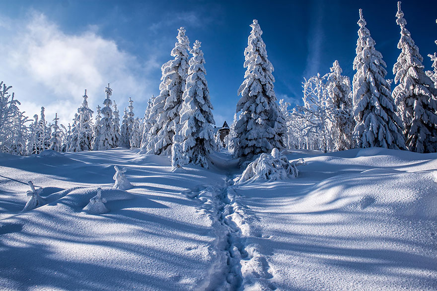 20 Casitas perdidas en medio de preciosos paisajes invernales
