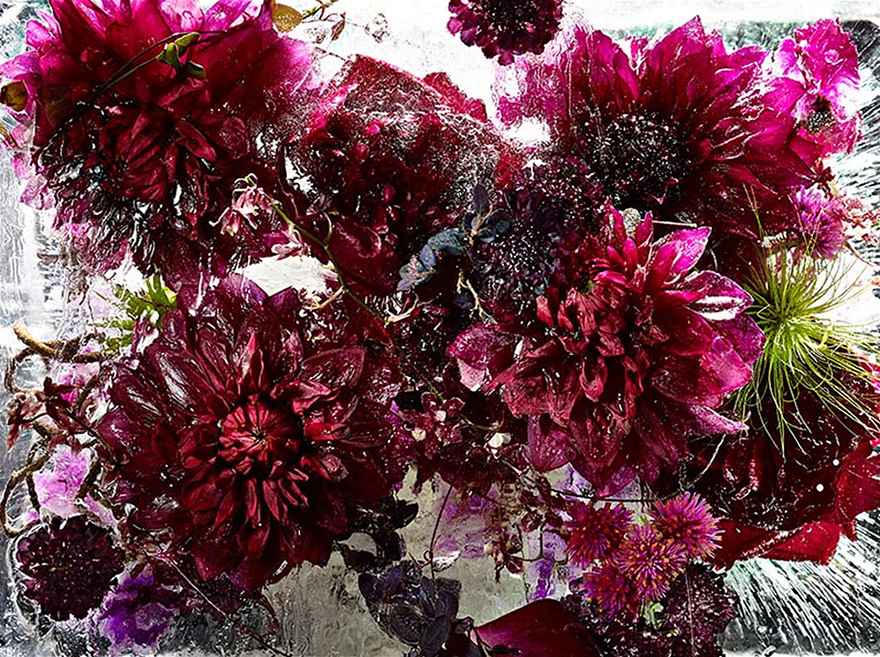 flores-congeladas-encerradas-eter-kenji-shibata (1)