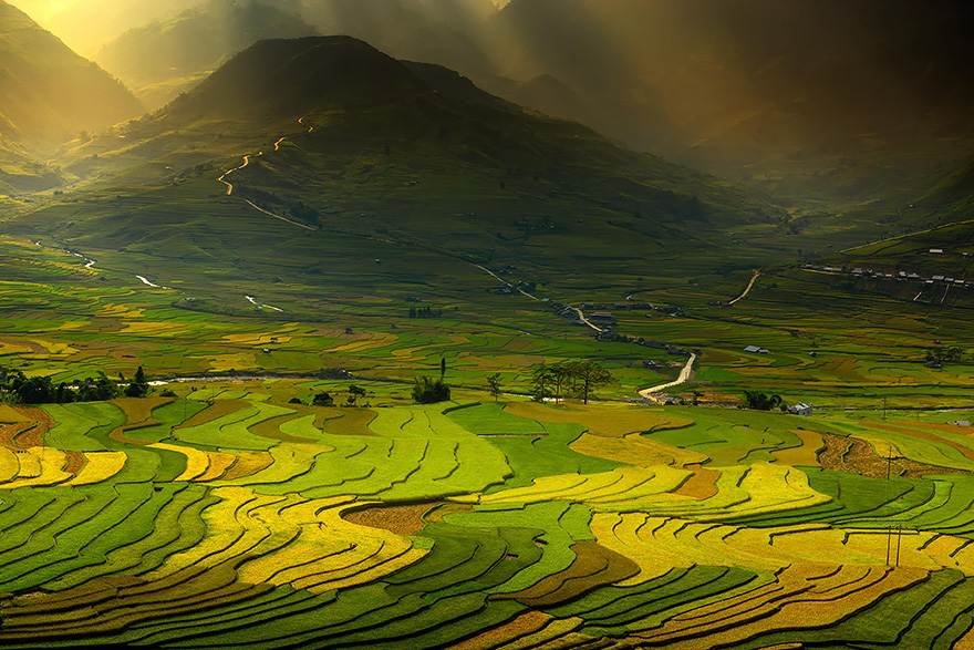 20 Increíbles arrozales que embellecen el paisaje