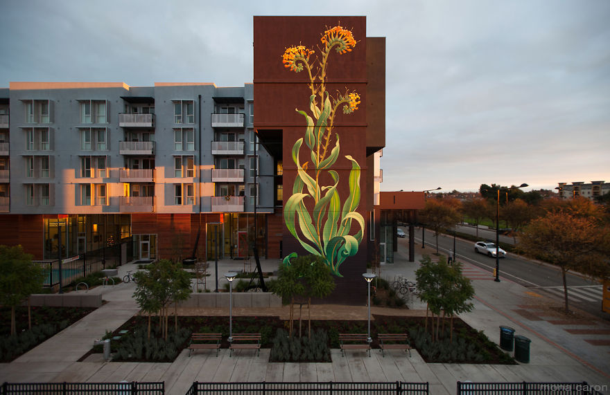 Pinto murales de malas hierbas que poco a poco se adueñan de la ciudad (Gifs + Vídeo)
