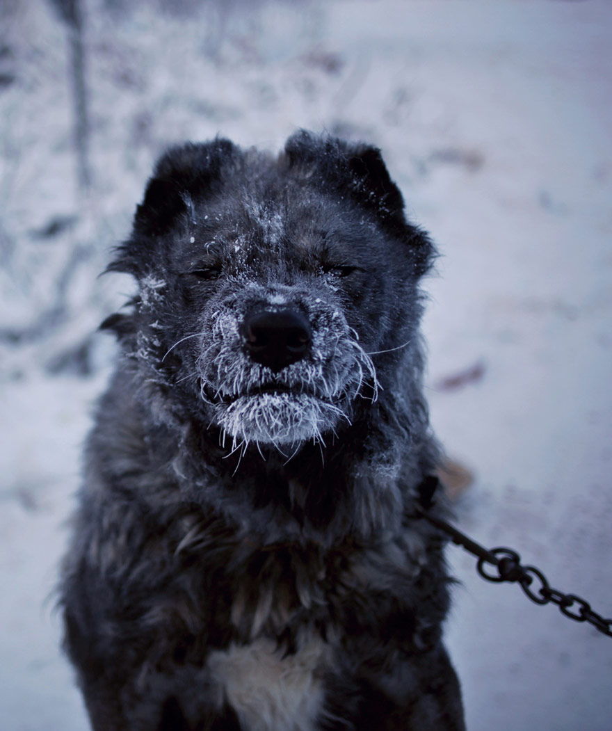 Este fotógrafo viajó desde Yakutsk a Oymyakon, el pueblo más frío del planeta