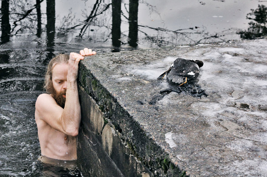 Este noruego saltó a un lago helado para rescatar a un pato en apuros