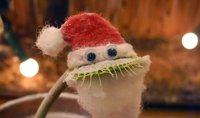 Esta planta carnívora se disfraza de Papá Noel para desearte feliz Navidad