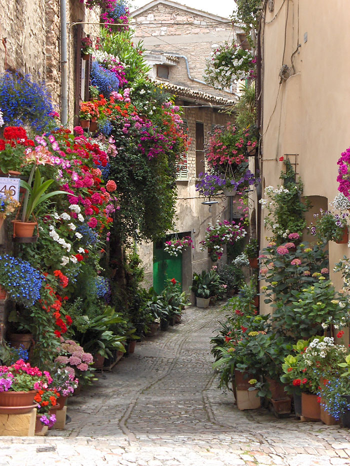 15 Calles mágicas cubiertas de flores y árboles