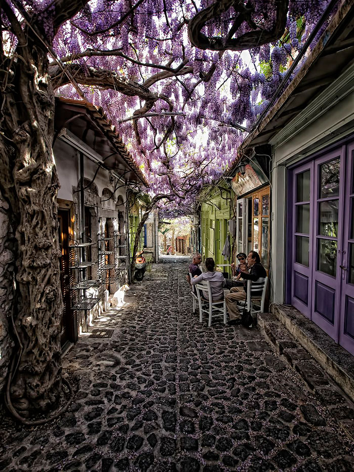 15 Calles mágicas cubiertas de flores y árboles