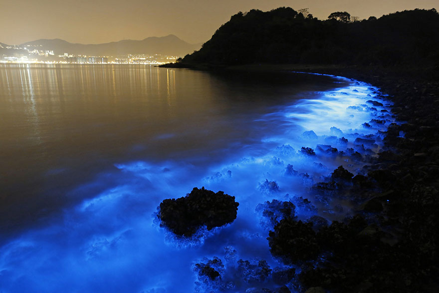 Este plancton bioluminiscente brilla al alcanzar las costas de Hong Kong