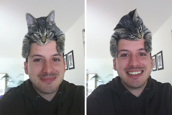 gatos-sombreros (18)