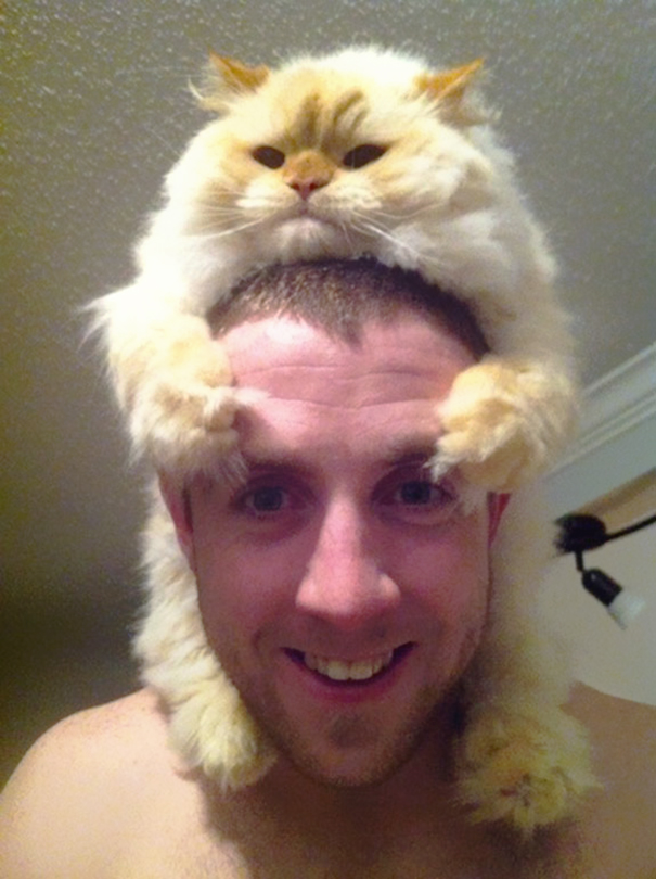 Llevar gatos vivos como sombreros es la última y más adorable moda