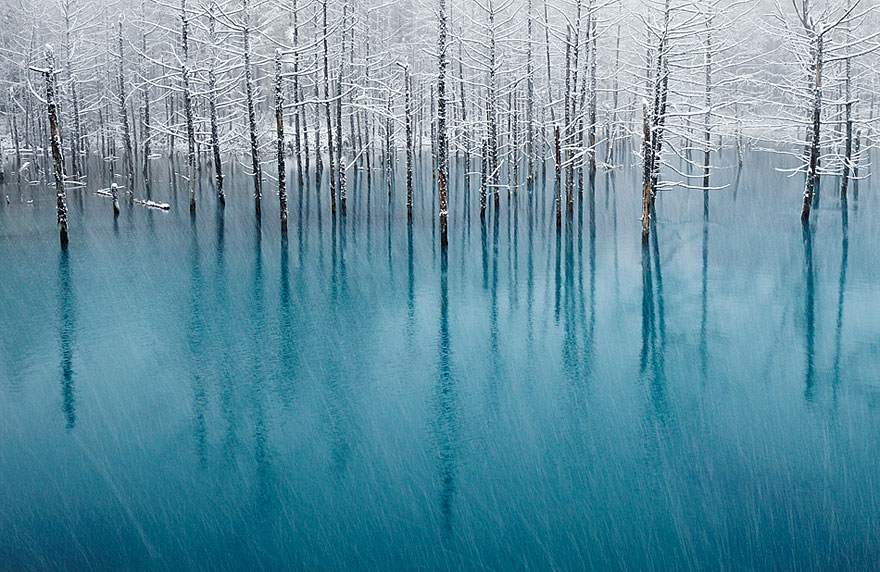 15 Fotos asombrosas de lagos y estanques helados