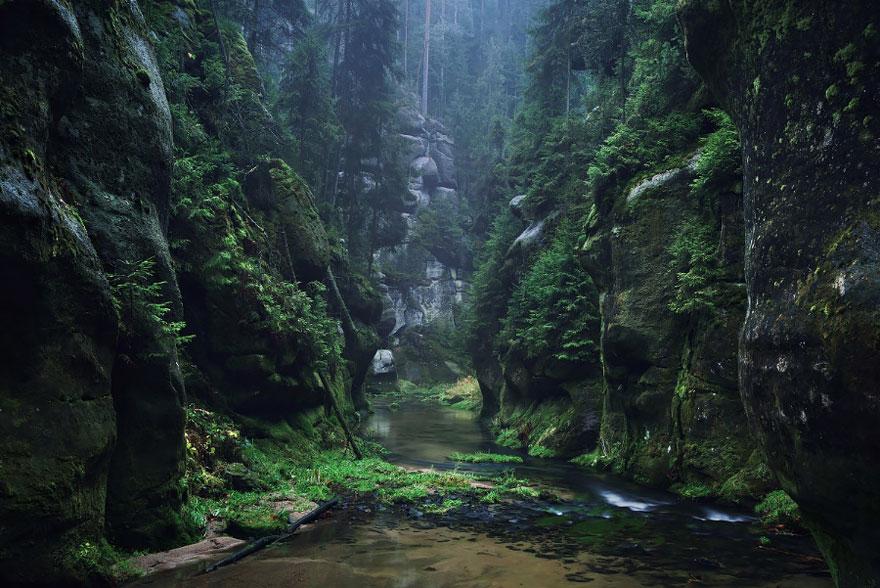 Los cuentos de los hermanos Grimm tendrían paisajes como estos fotografiados por Kilian Schönberger