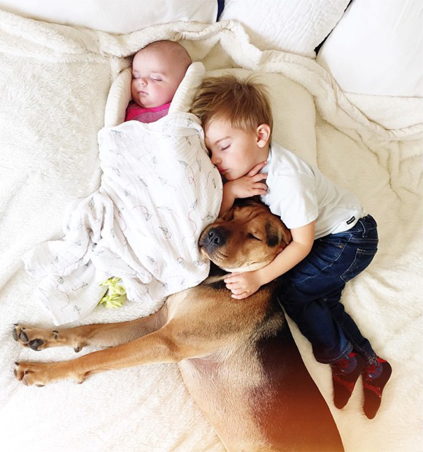 Nueva compañera de siestas para este niño y su perro: su hermana recién nacida