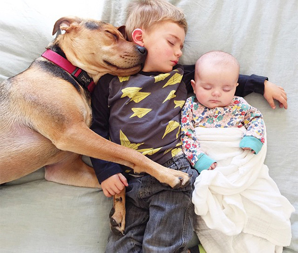 Nueva compañera de siestas para este niño y su perro: su hermana recién nacida