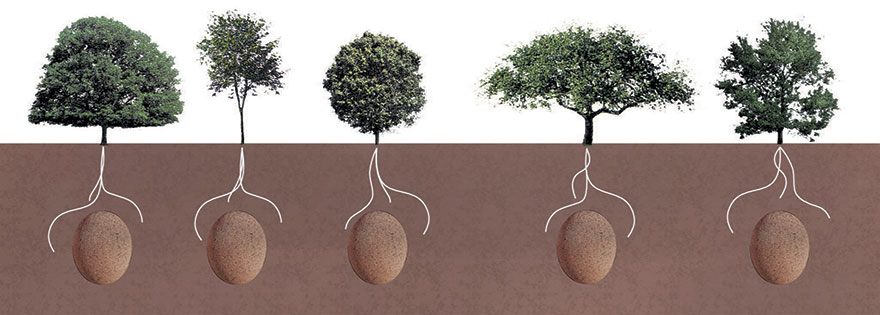 Estas cápsulas orgánicas de enterramiento convertirán a los fallecidos en árboles
