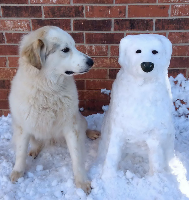 Gente que ha decidido convertir a sus mascotas en esculturas de nieve