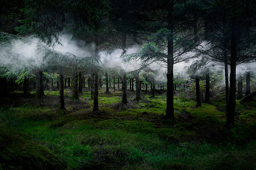 Esta artista ha pasado 7 años transformando los bosques de Reino Unido en obras de arte