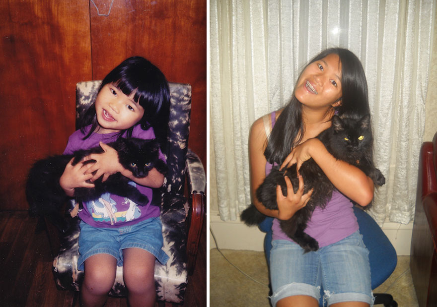 25 Fotos del antes y después de gatos creciendo
