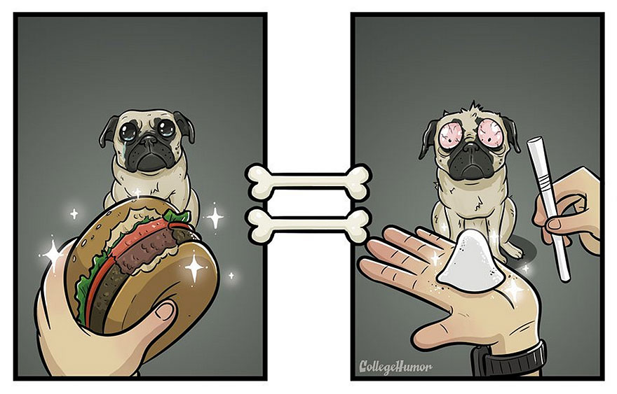 El mundo a través de los ojos de los perros, por el dibujante Robert Brown