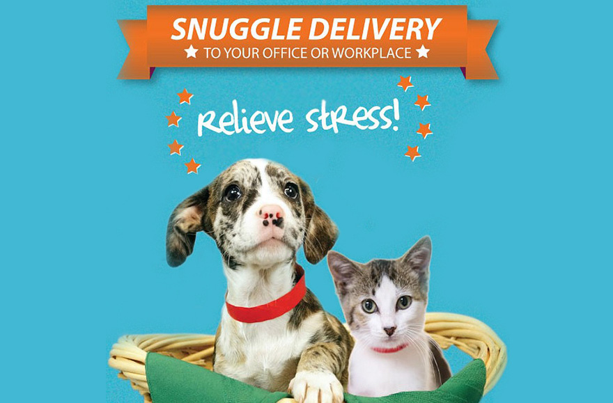 animales-refugio-visita-oficinas-snuggle-delivery (14)