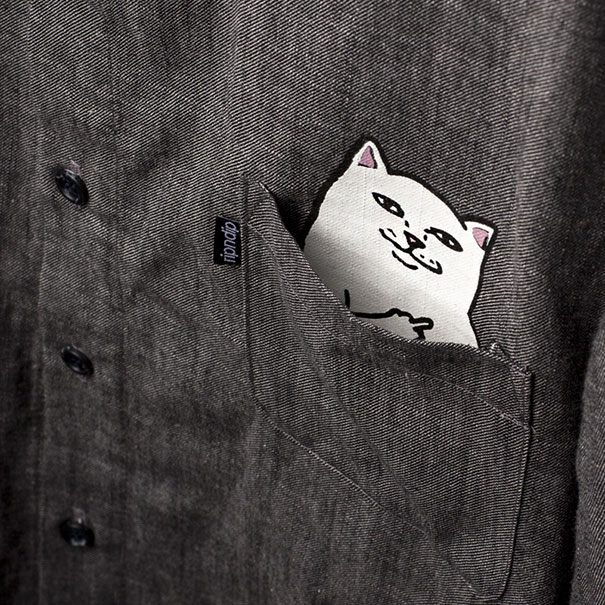 El gato escondido en el bolsillo de estas camisetas tiene una sorpresa para ti