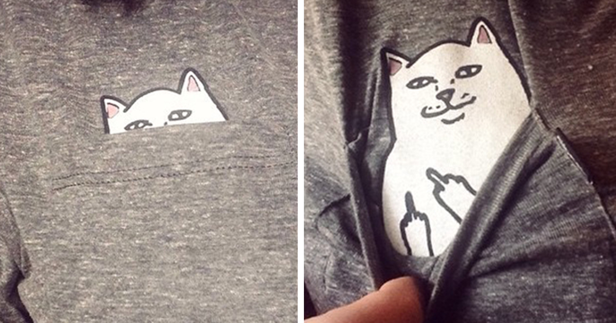 Pautas clima Arquitectura El gato escondido en el bolsillo de estas camisetas tiene una sorpresa para  ti | Bored Panda