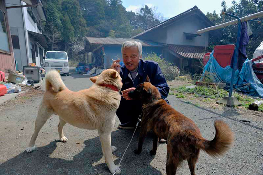 Este hombre volvió a Fukushima para alimentar a los animales que quedaron allí abandonados