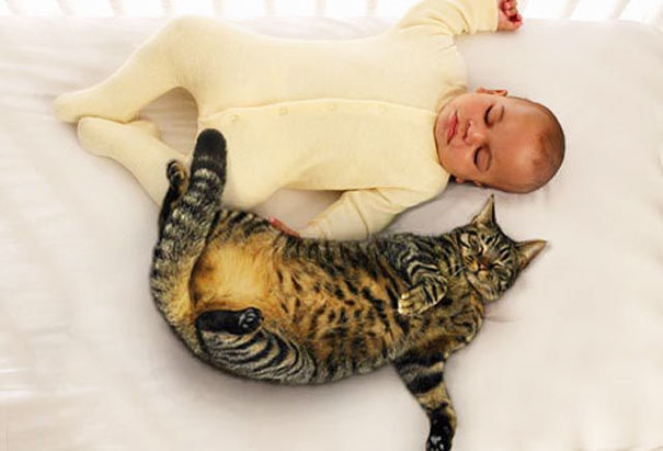 25 Fotos adorables demostrando que los niños necesitan un gato