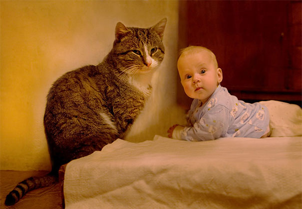25 Fotos adorables demostrando que los niños necesitan un gato