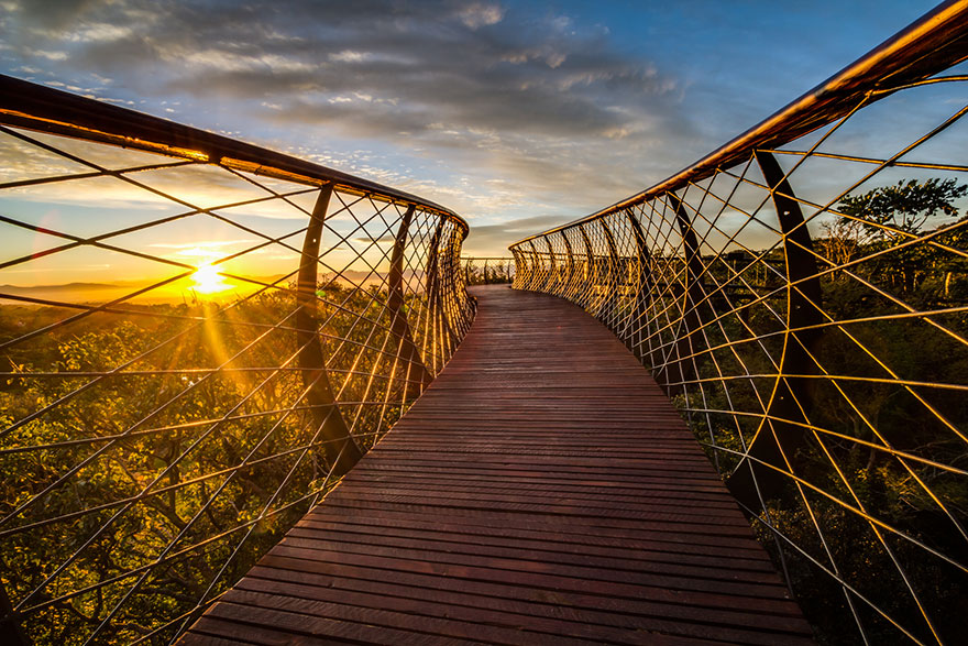 Esta pasarela en Ciudad del Cabo permite a los amantes de la naturaleza pasear sobre las copas de los árboles