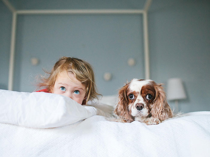 23 Fotos adorables que demuestran que tu niño necesita un perro