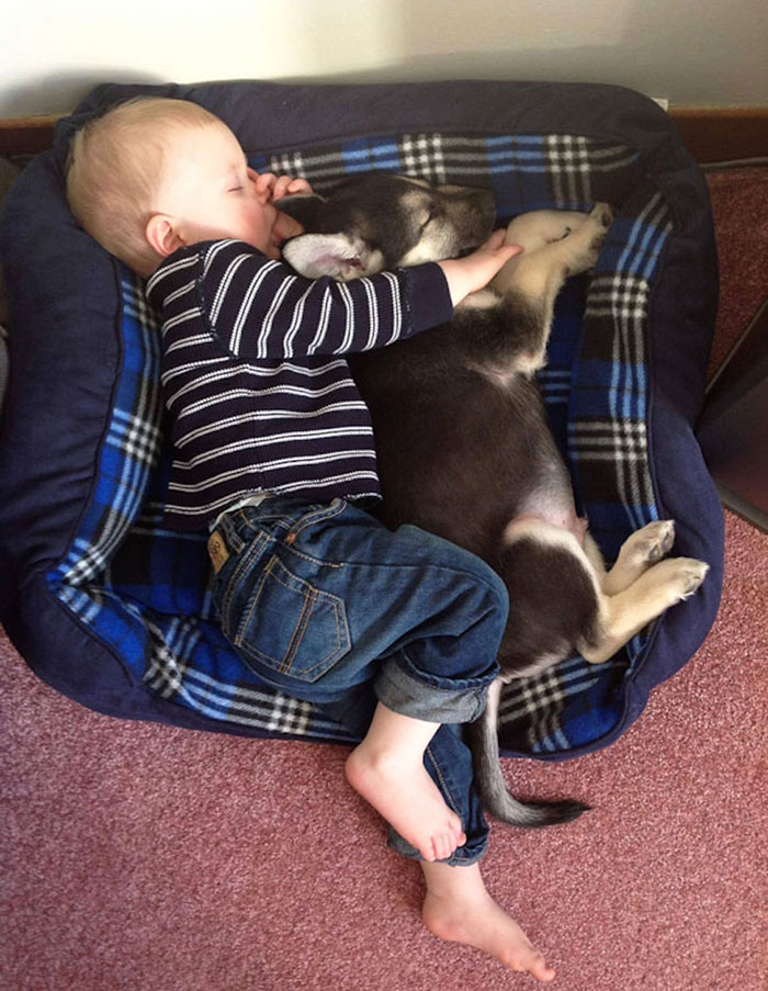 23 Fotos adorables que demuestran que tu niño necesita un perro