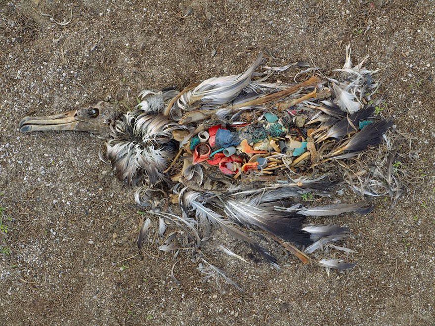 22 Fotos desgarradoras de la contaminación de nuestro planeta para animarte a reciclar