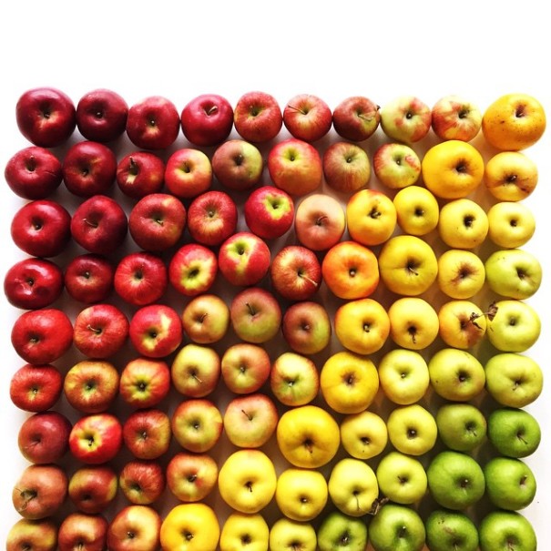 fotos-comida-ordenada-colores-foodgradients-brittany-wright (16)