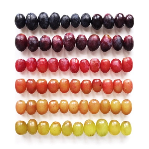 fotos-comida-ordenada-colores-foodgradients-brittany-wright (8)