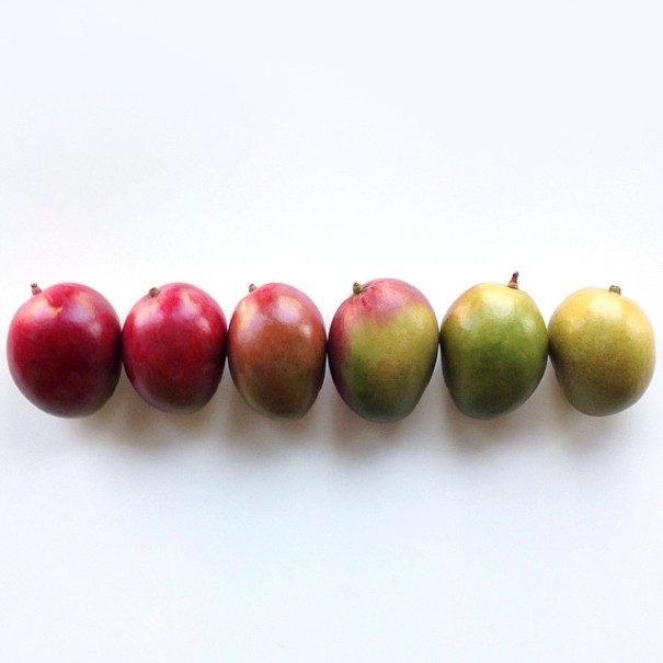 fotos-comida-ordenada-colores-foodgradients-brittany-wright (9)