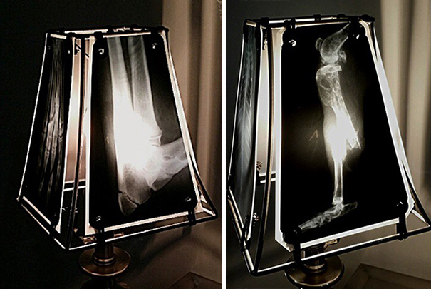 Esta oncóloga de mascotas crea lámparas con radiografías de animales