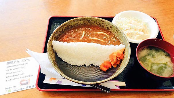presa-arroz-curry-damukare-japon (5)