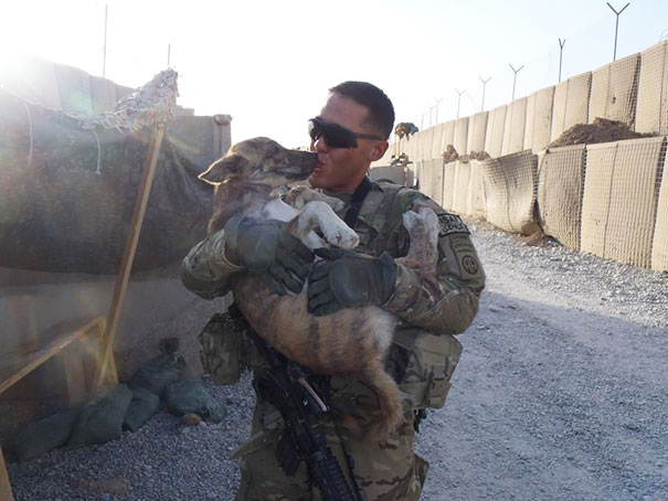 20 Soldados y animales que se hicieron amigos en zonas de guerra