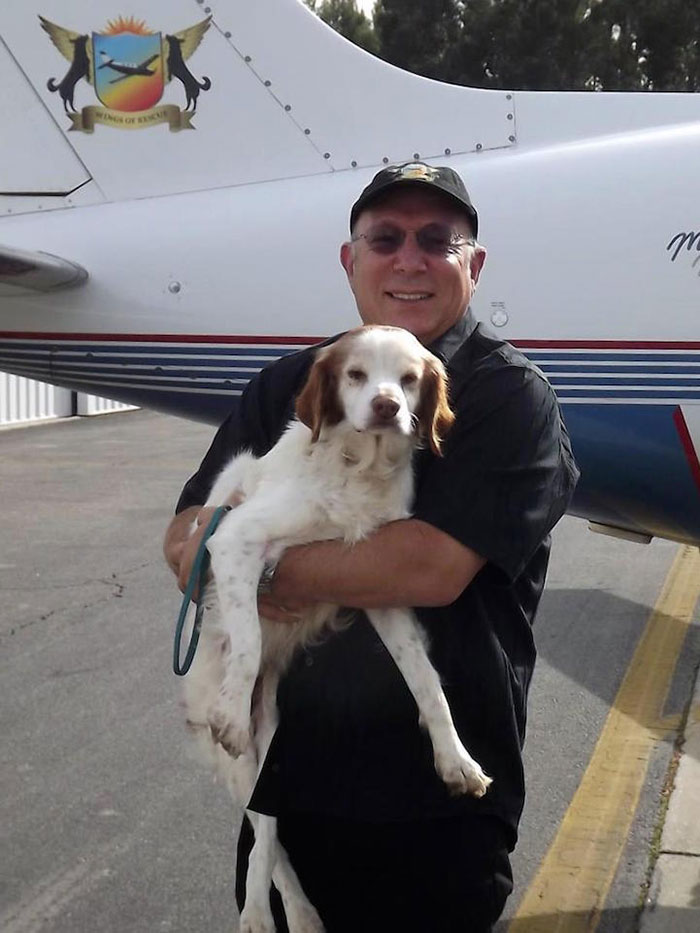 Gracias a pilotos voluntarios, estos perros vuelan a otros refugios para salvarse de ser sacrificados
