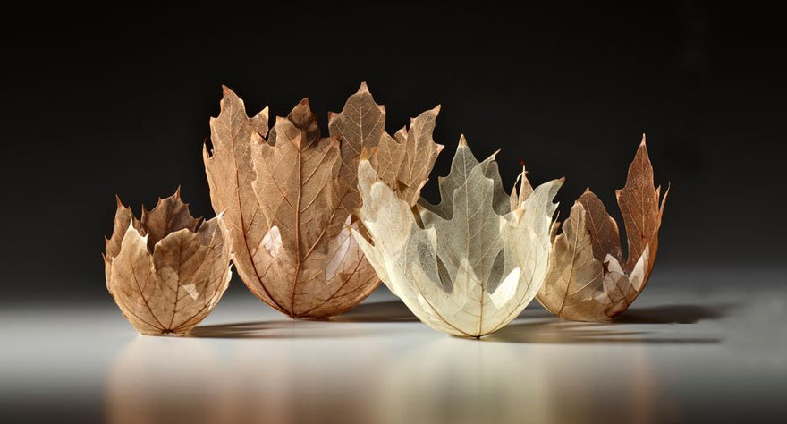 Estos preciosos cuencos están hechos con auténticos esqueletos de hojas