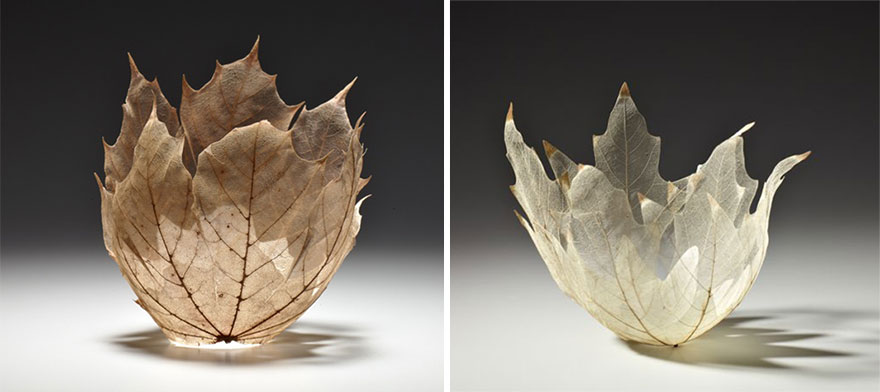 Estos preciosos cuencos están hechos con auténticos esqueletos de hojas