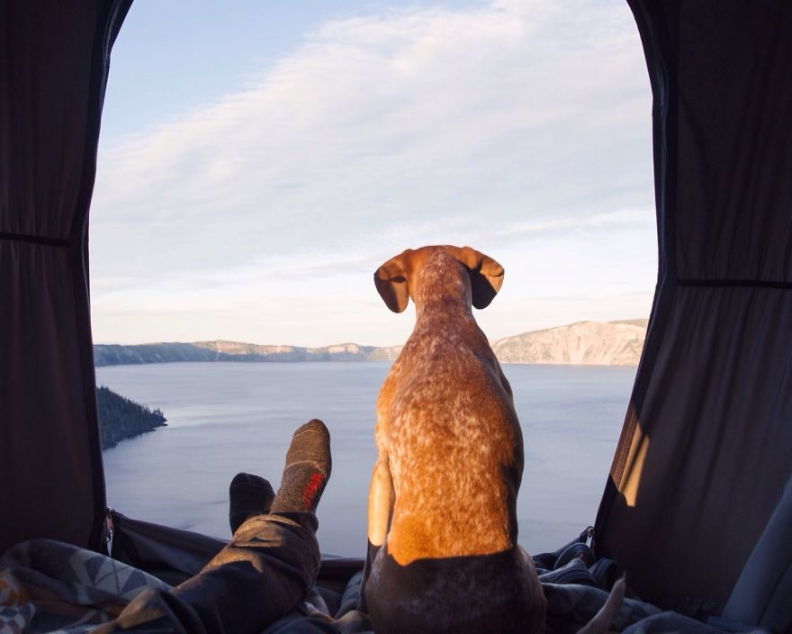 Este fotógrafo se lleva de aventuras a su perro adoptado Maddie