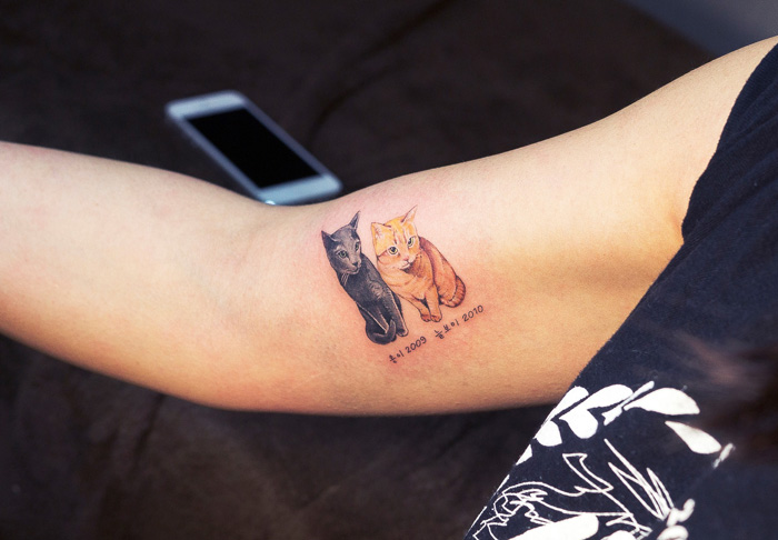 Tatuarse un gato probablemente sea la forma más adorable de infringir la ley en Corea del Sur