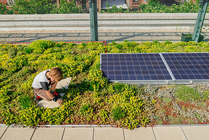 Los tejados con paneles solares podrían ser parte del plan de estudios de las escuelas de Nueva York