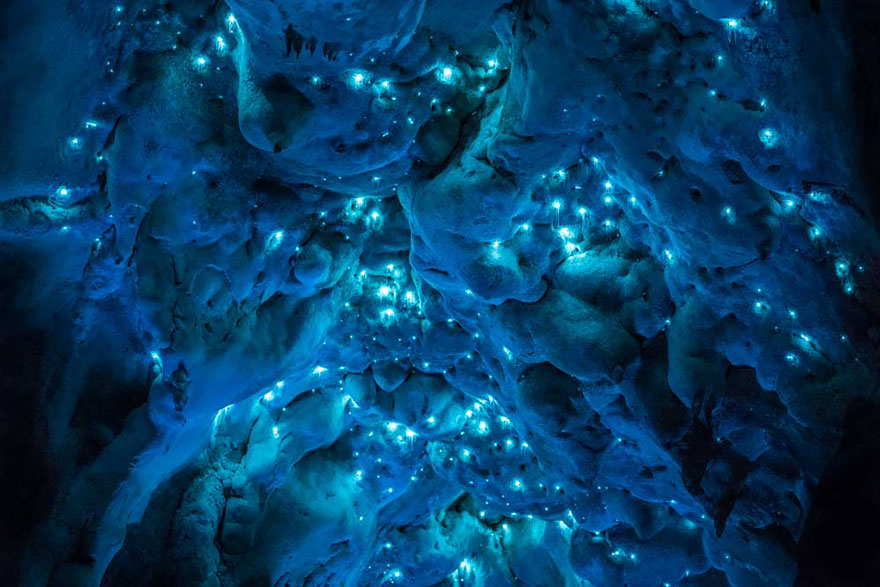 Surreales fotografías de larga exposición de los gusanos brillantes de Nueva Zelanda