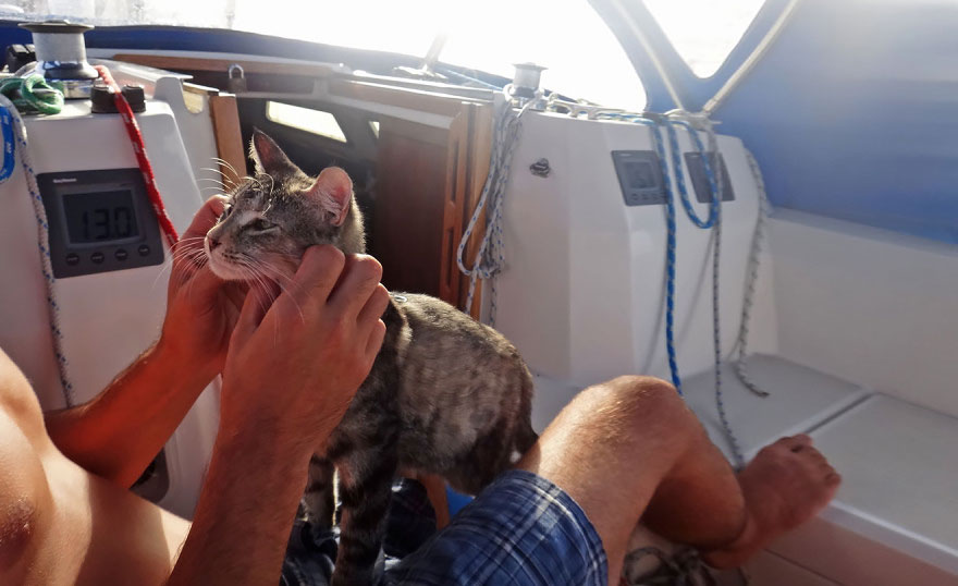Esta pareja lo vendió todo para viajar por el mundo en barco con su gato
