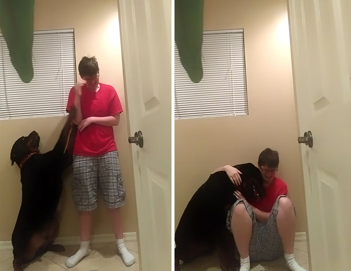 Este perro salvó a su dueña con síndrome de Asperger cuando sufría una violenta crisis