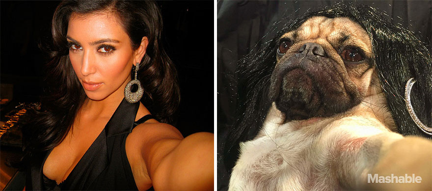 Este perro pug recrea los selfies más sexys de Kim Kardashian e internet no los distingue